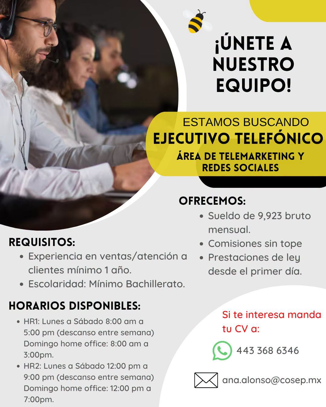 Ejecutivo Telefónico