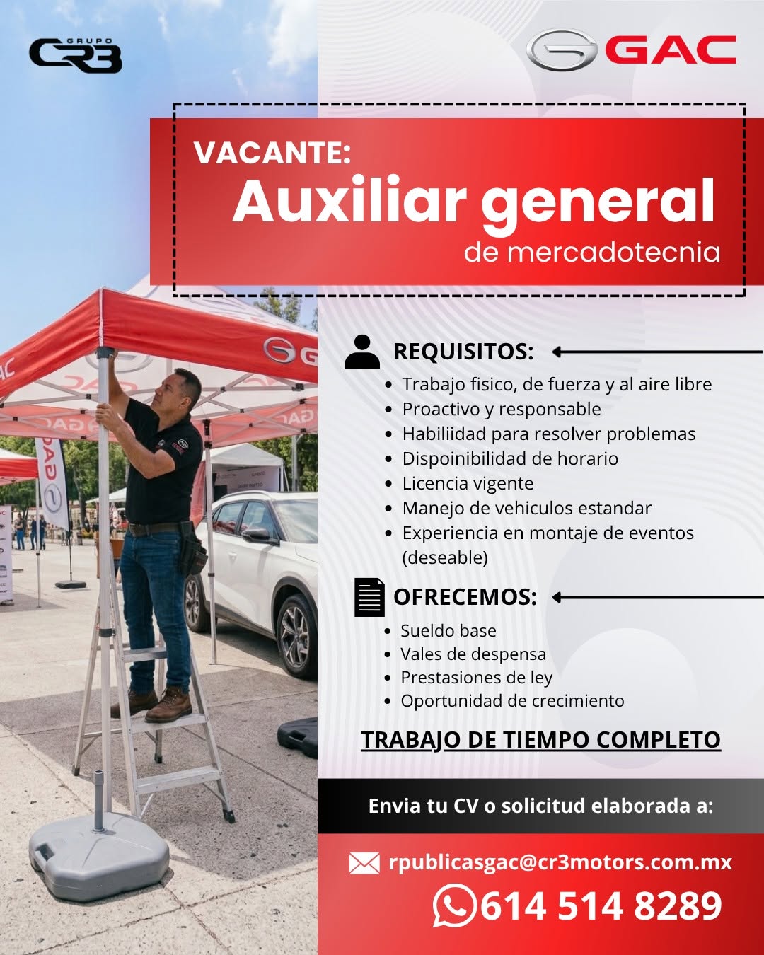Auxiliar General de Mercadotecnia