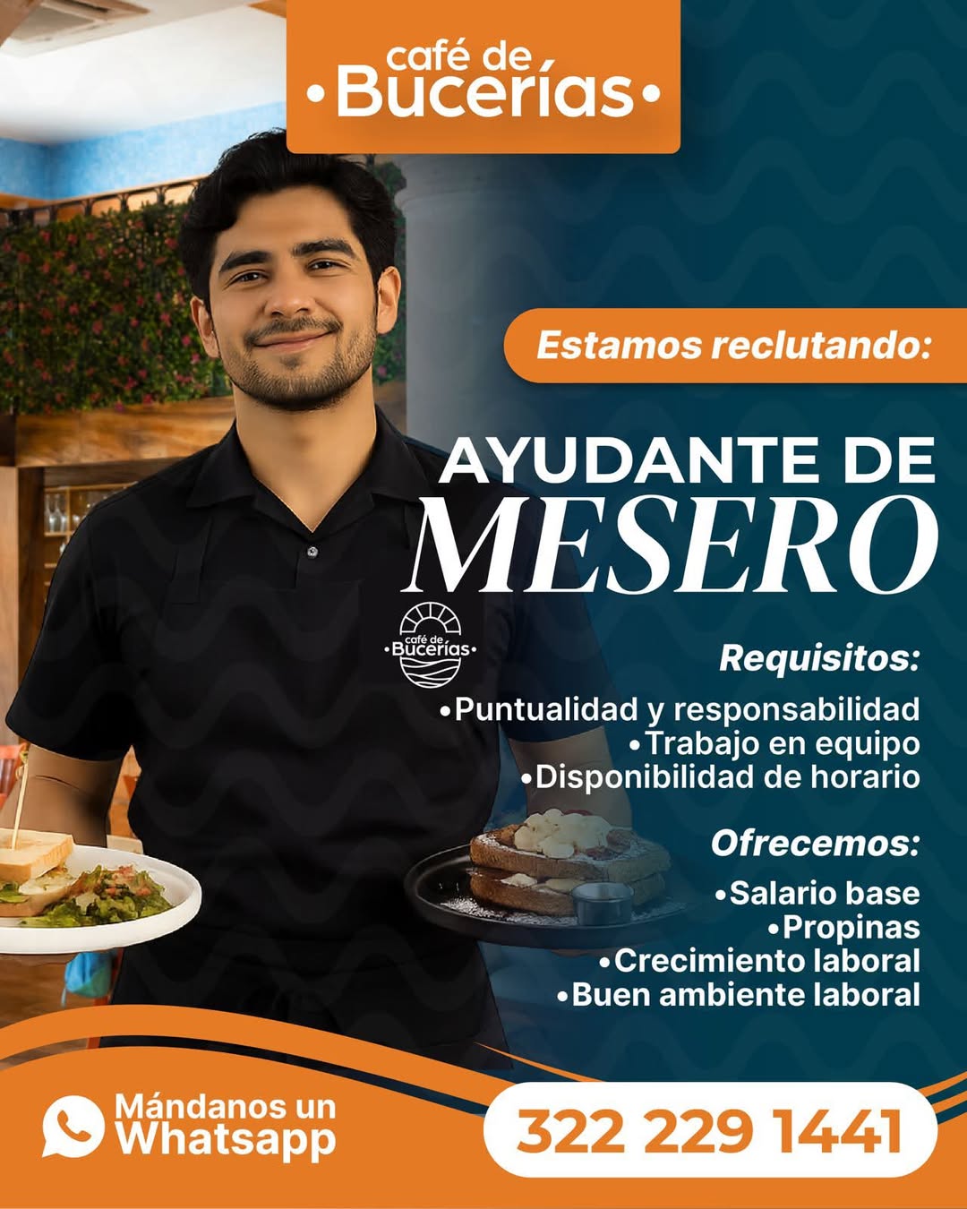 Ayudante de Mesero
