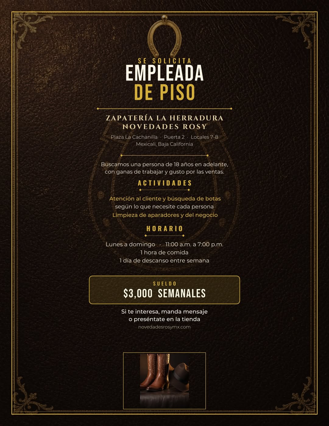 Vendedora de Piso