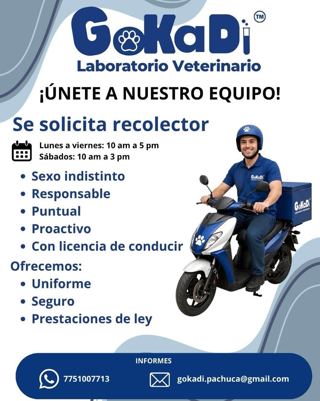 Repartidor
