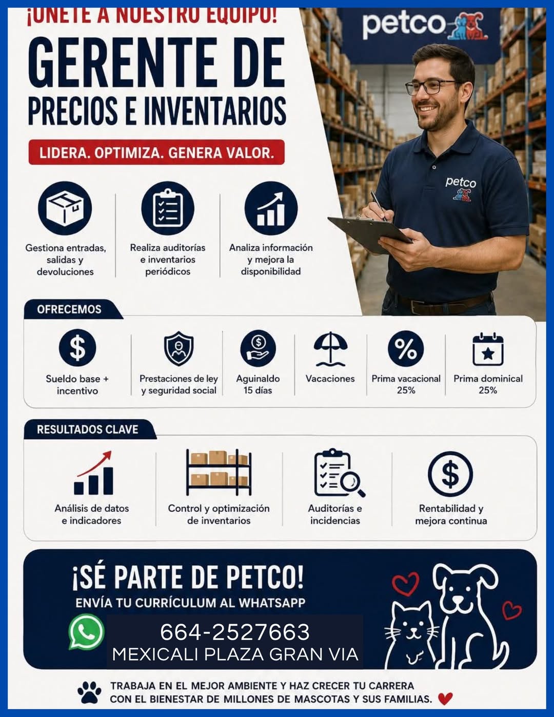 Gerente de Área en Bodega