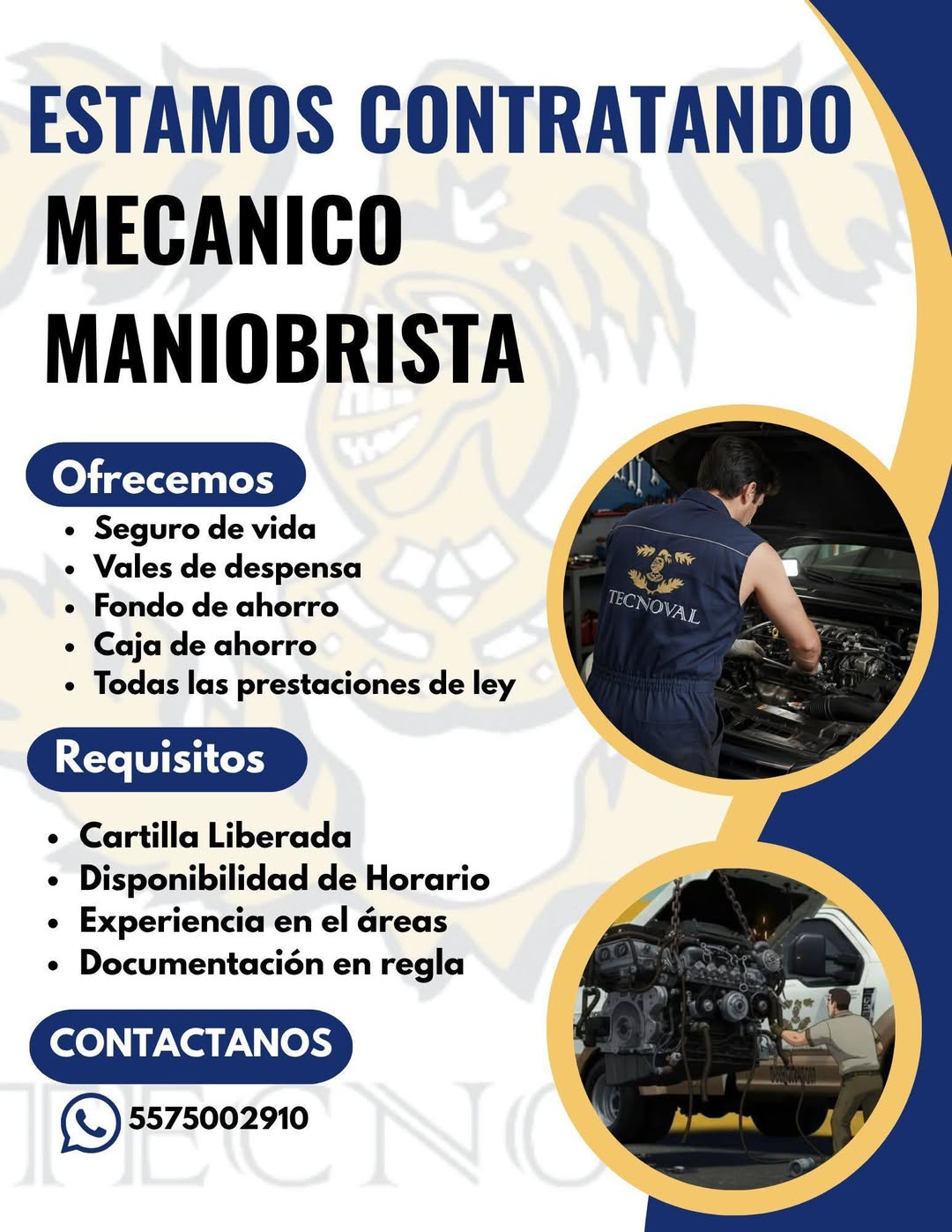 Mecánico Maniobrista