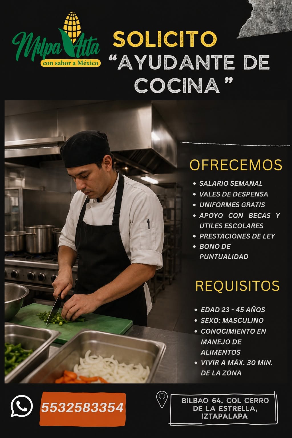 Ayudante de Cocina