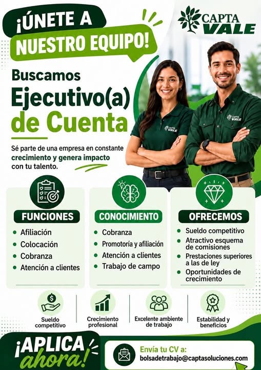 Asesor Financiero