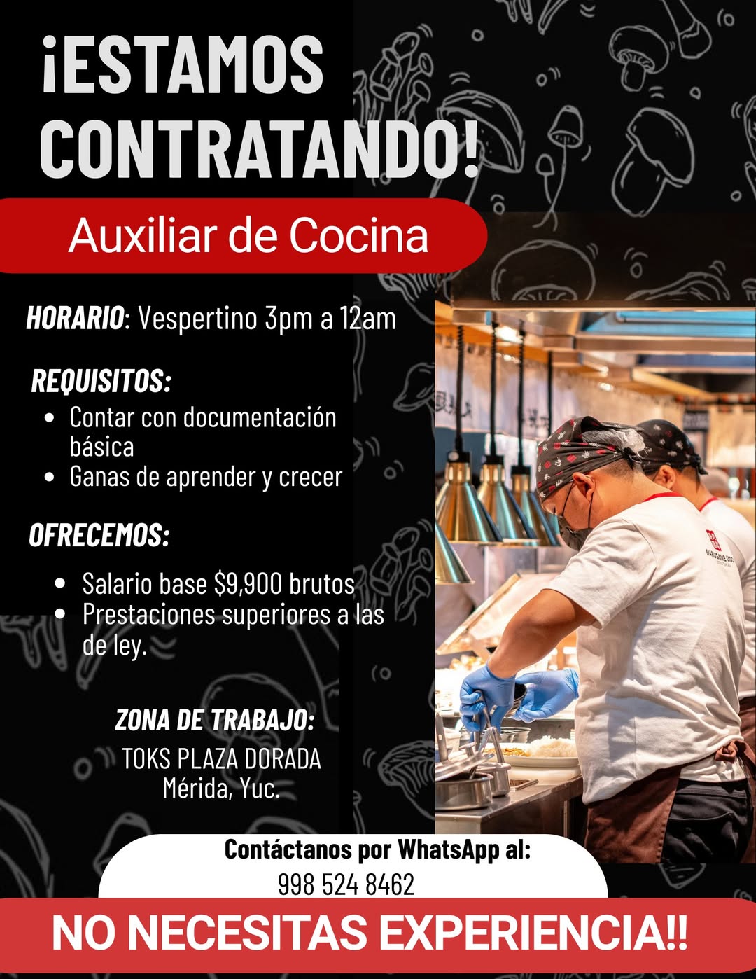 Auxiliar de Cocina