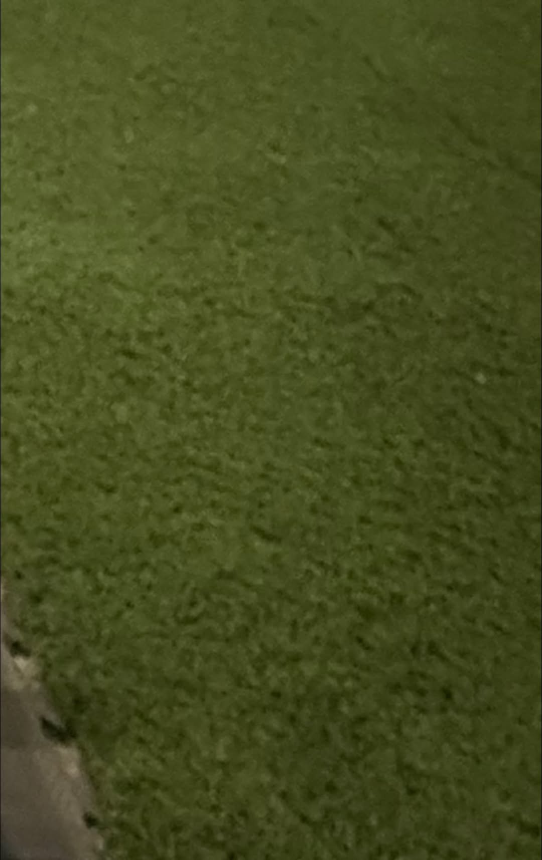 Limpieza de Alfombrado