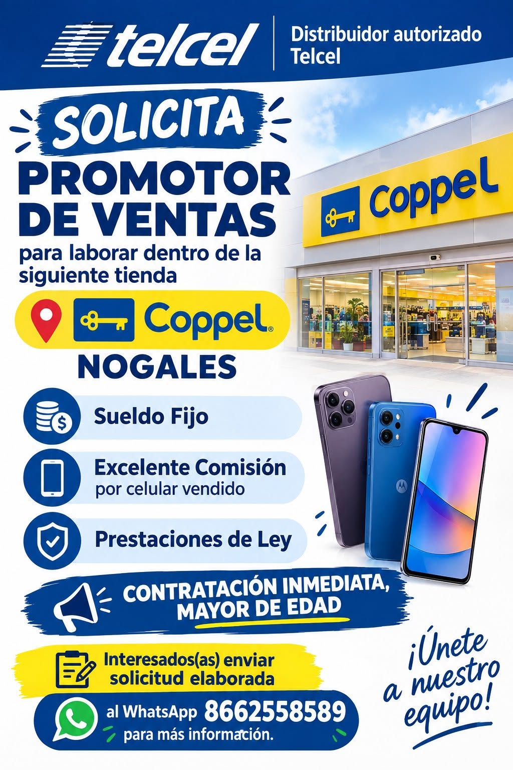 Promotor de Ventas