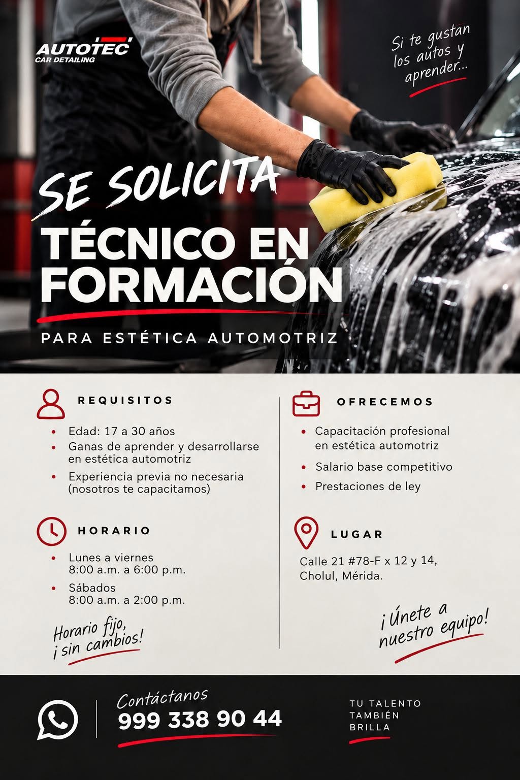 Técnico en Formación para Estética Automotriz