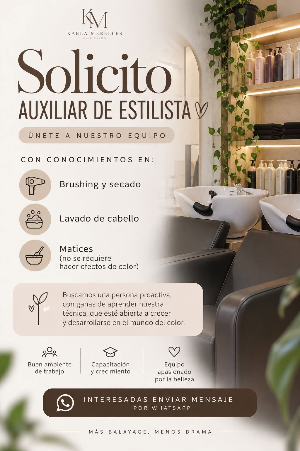 Auxiliar de Estilista