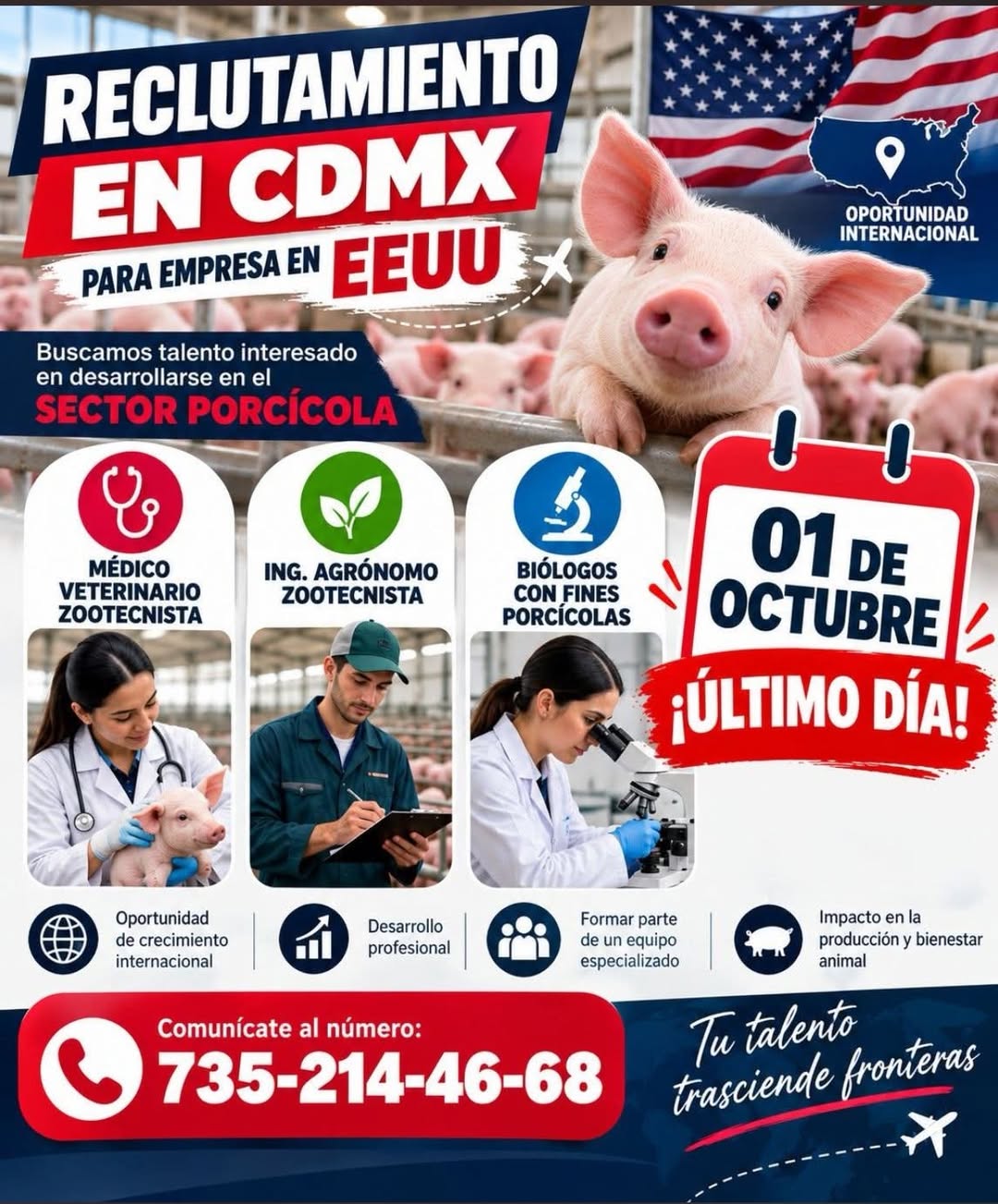 Vacante disponible