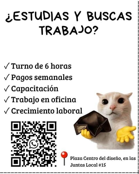 Asesor de Ventas
