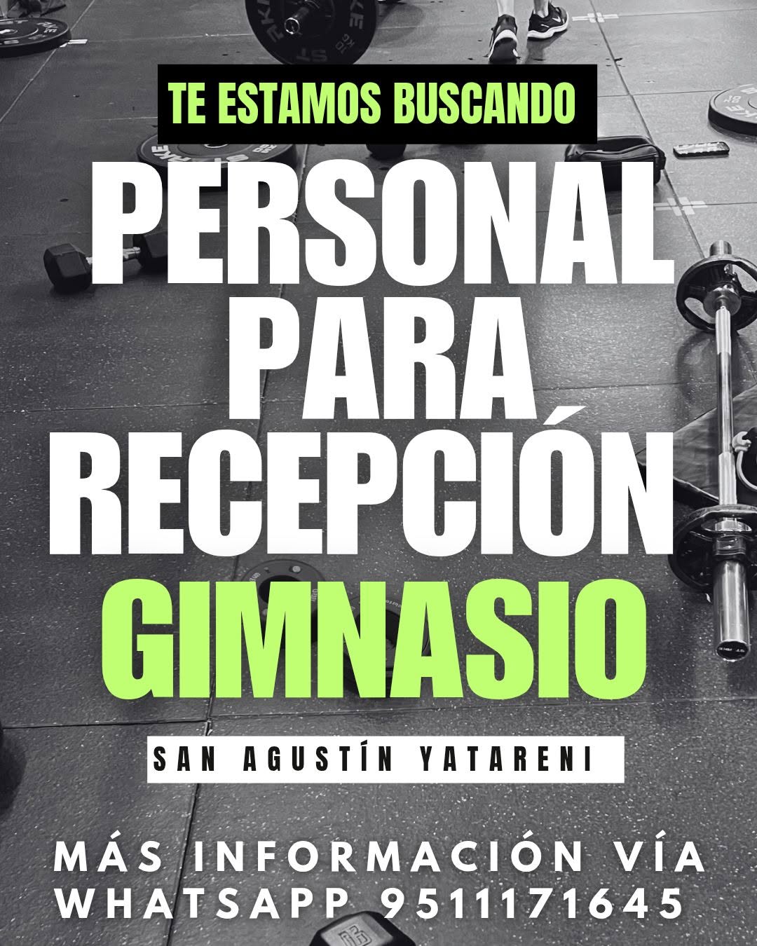 Personal de Recepción