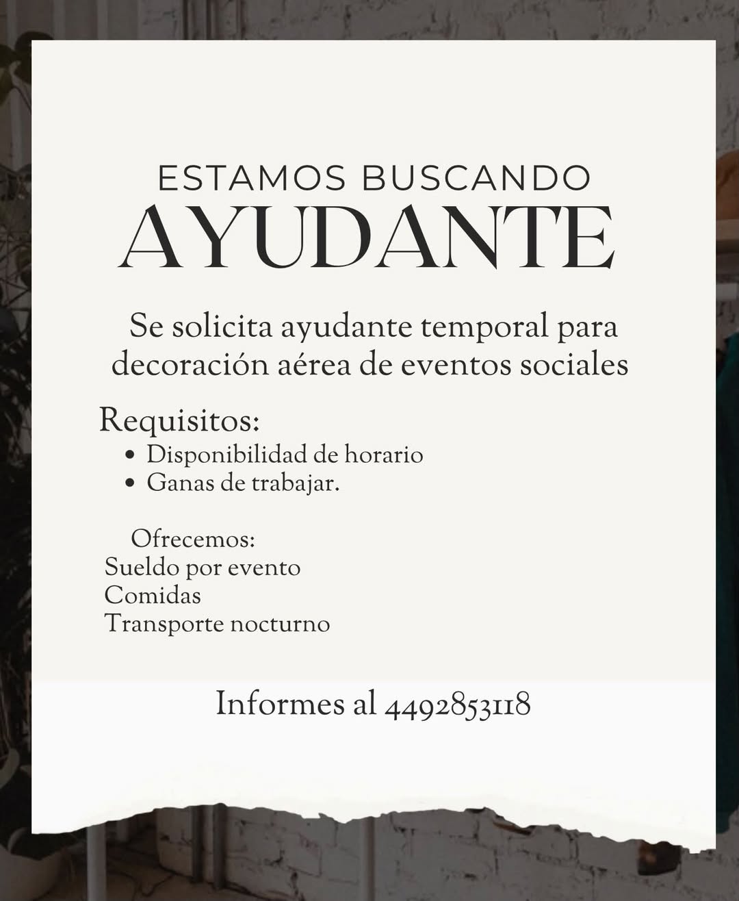 Ayudante Eventual