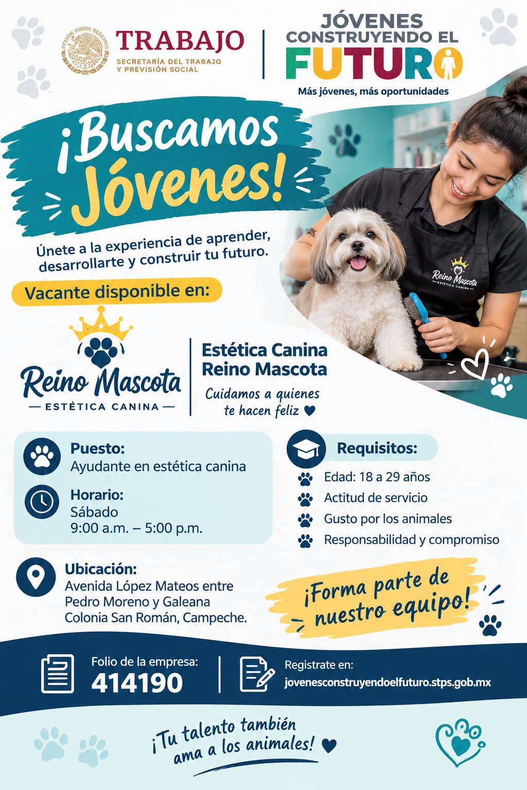 Vacante disponible