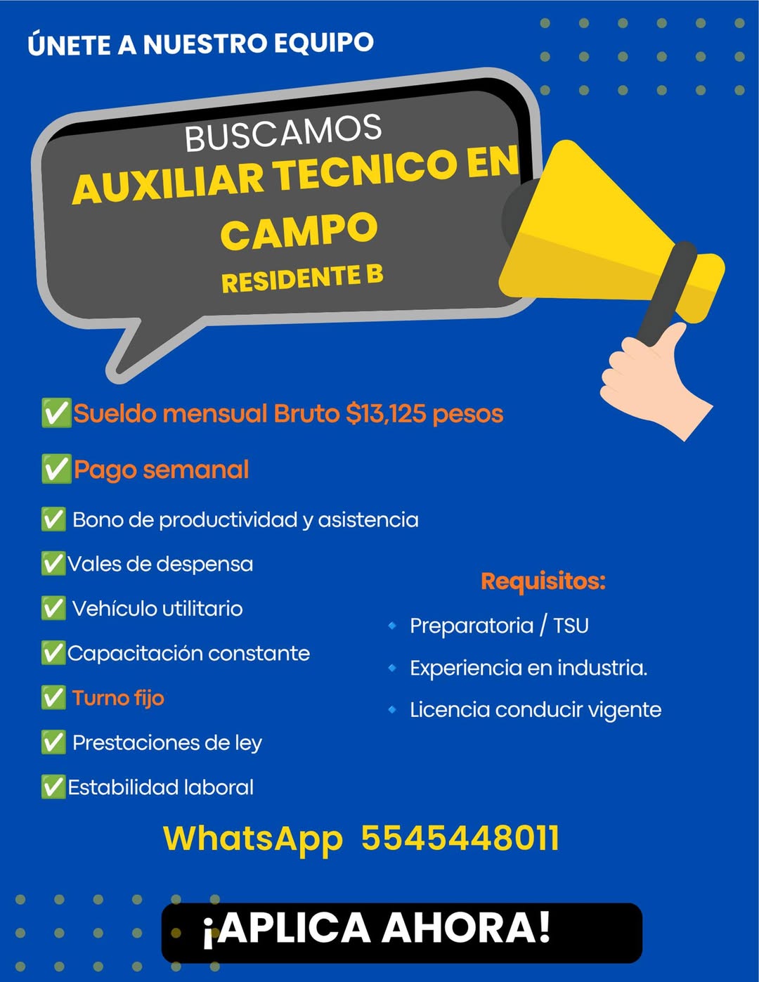 Técnico-Residente B