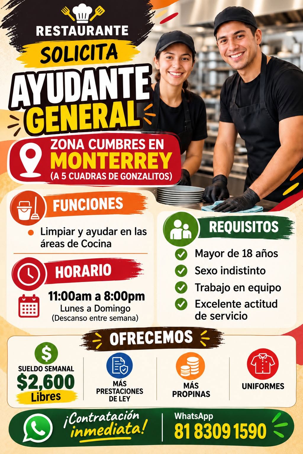 Ayudante de Cocina
