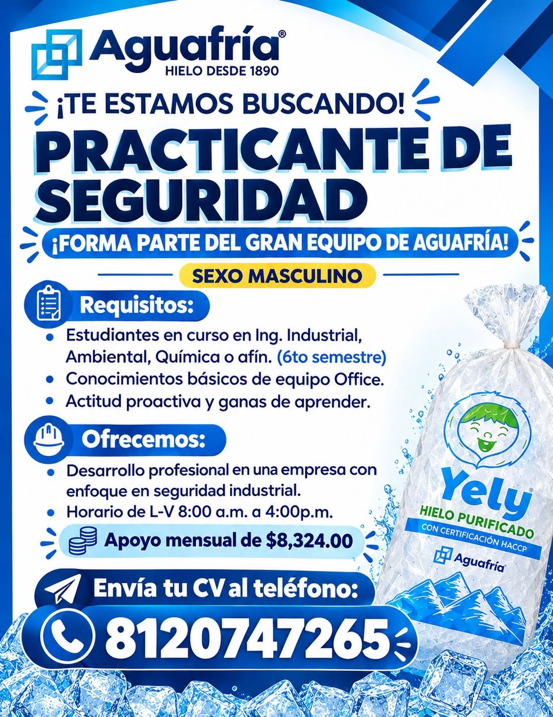 Practicante de Seguridad
