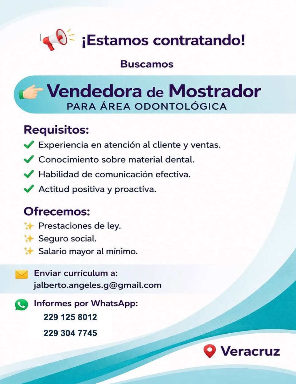Vendedora de Mostrador