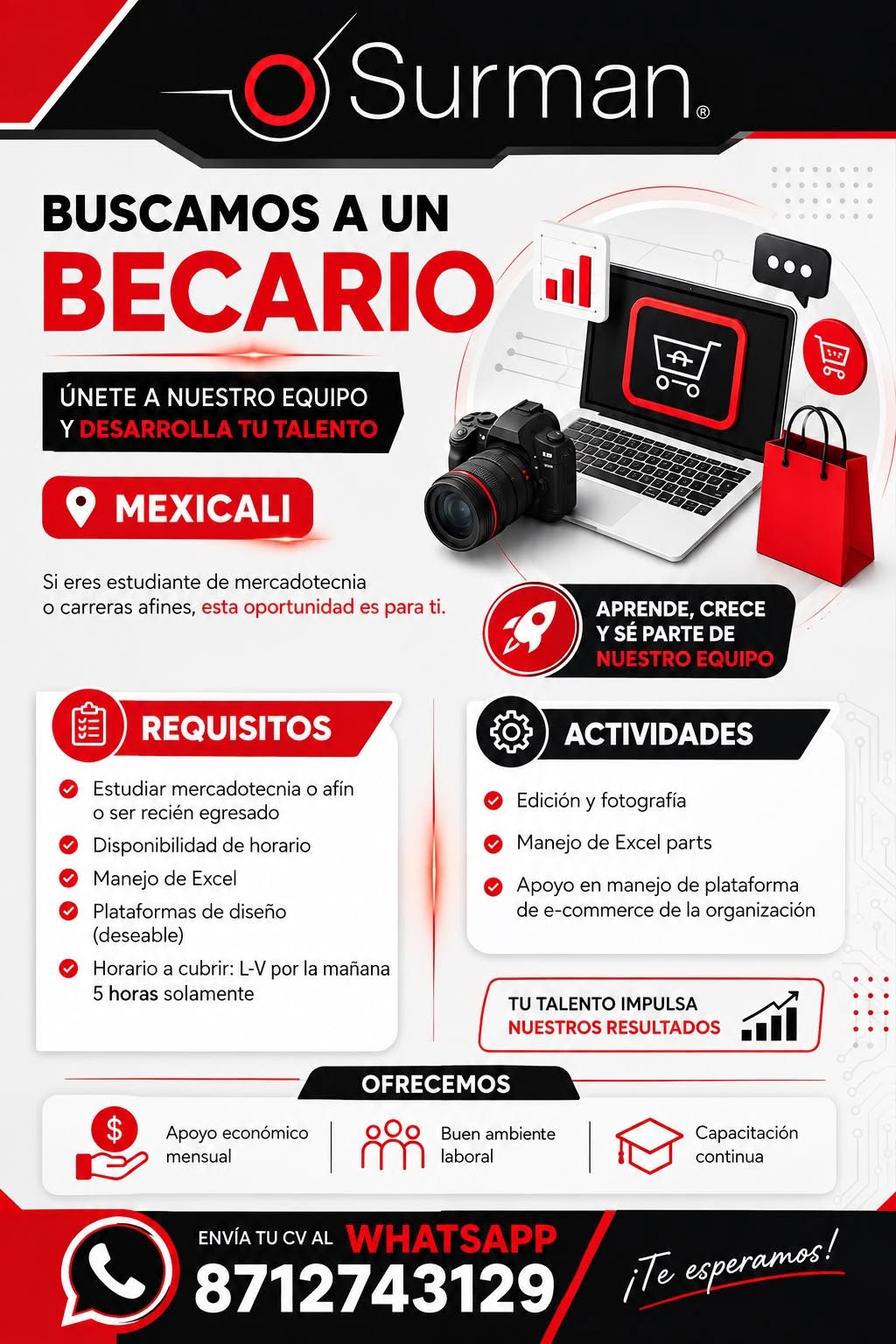 Becario de E-Commerce
