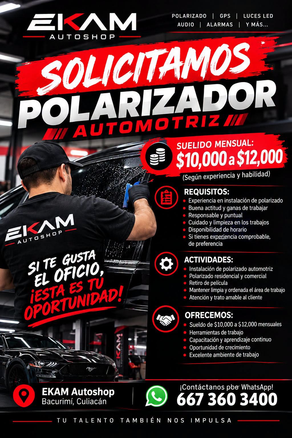 Polarizador Automotriz