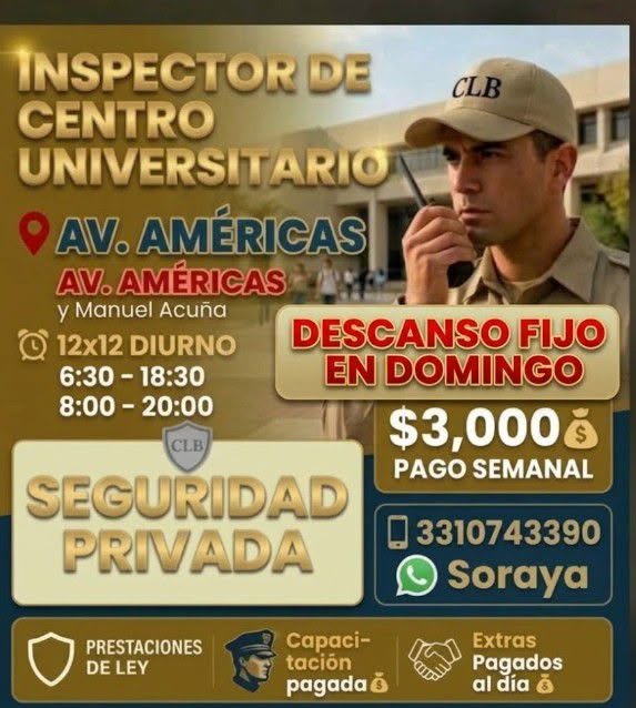 Inspector de Seguridad