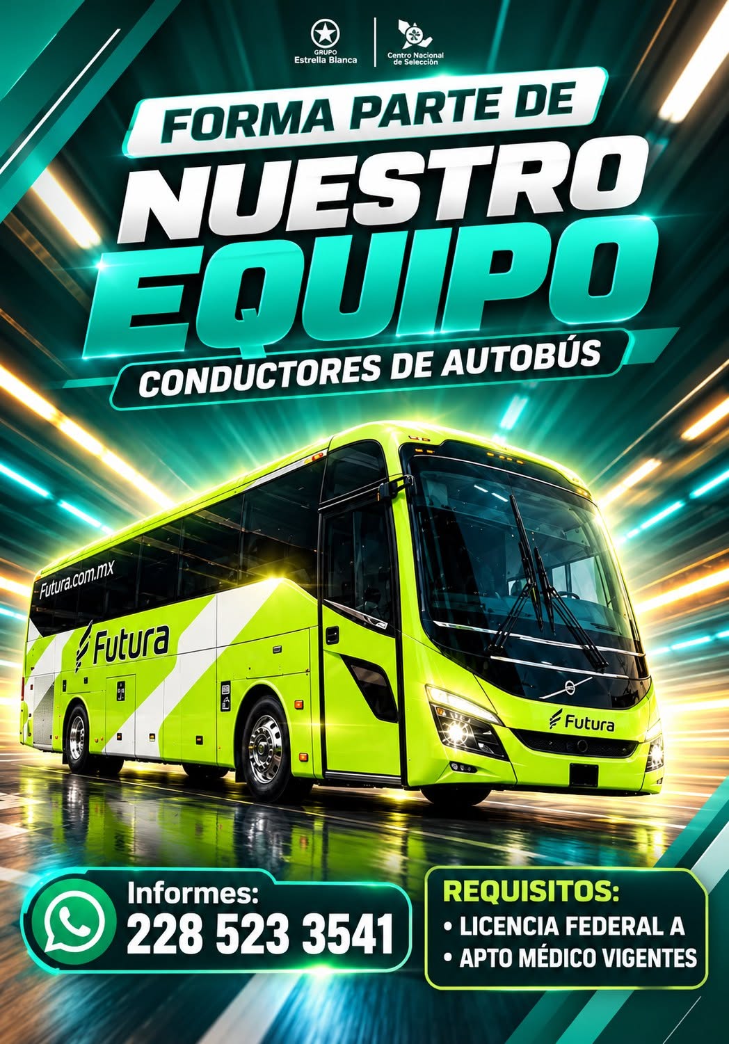 Conductor de Autobús