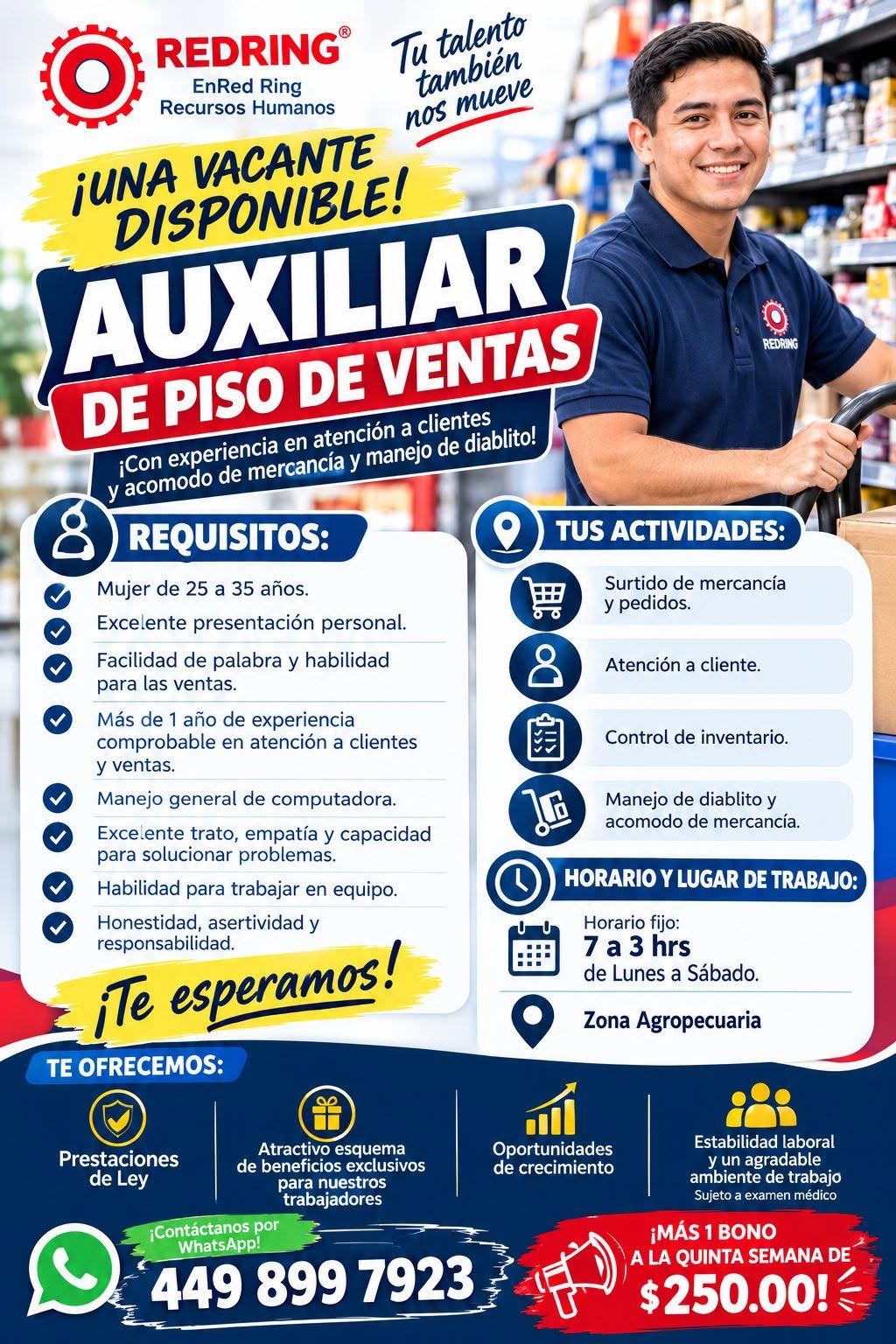 Auxiliar de Piso de Ventas