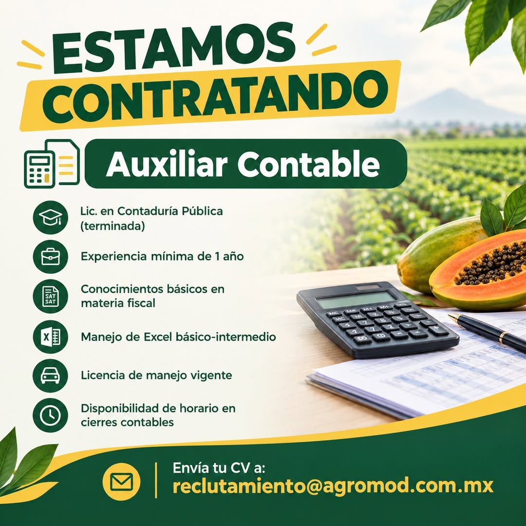 Auxiliar Contable