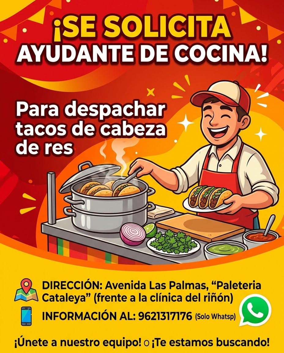 Ayudante de Cocina