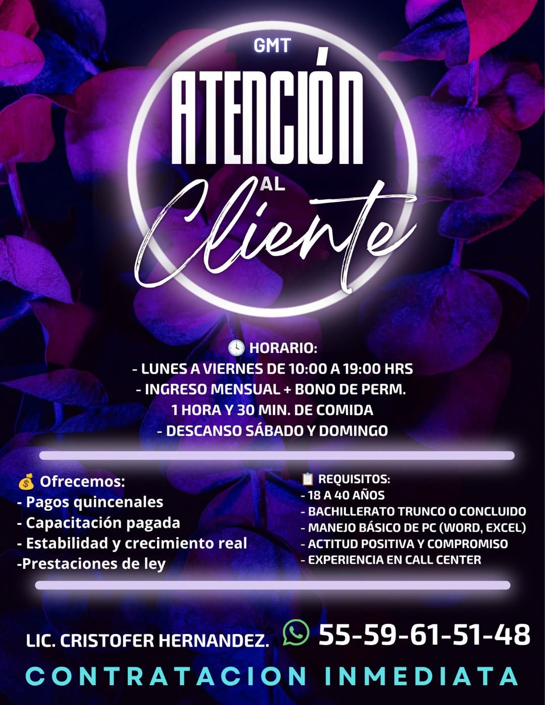 Asesor de Call Center
