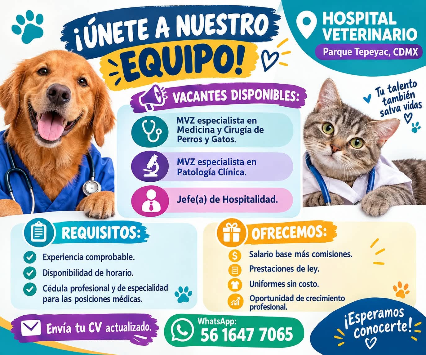 MVZ especialista en Medicina y Cirugía de Perros y Gatos