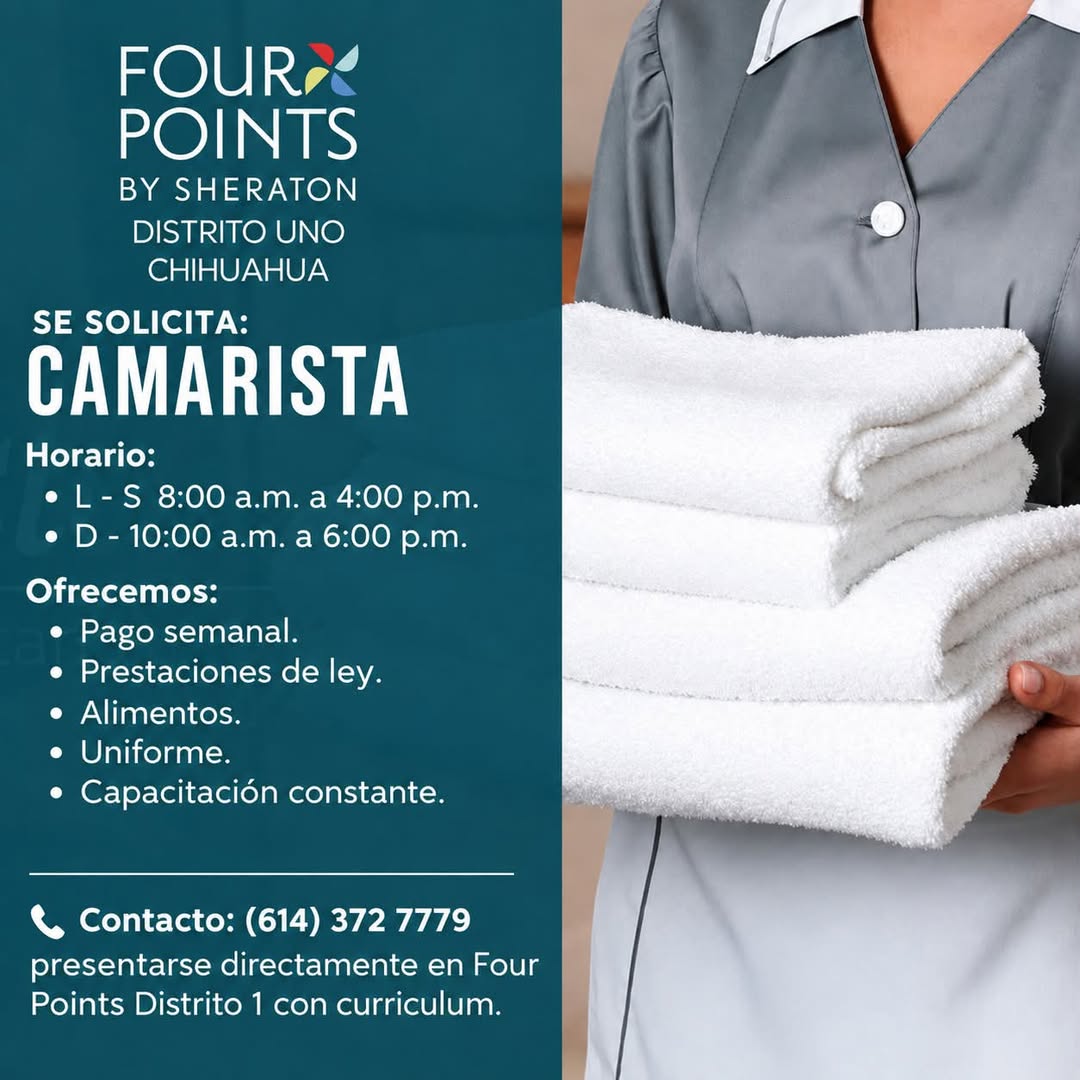 Camarista