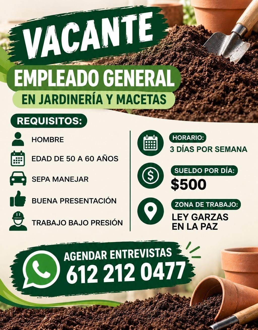 Vacante disponible