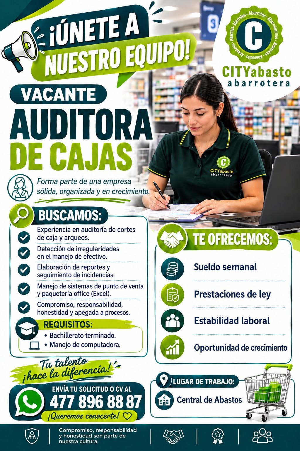 Auditora de Cajas