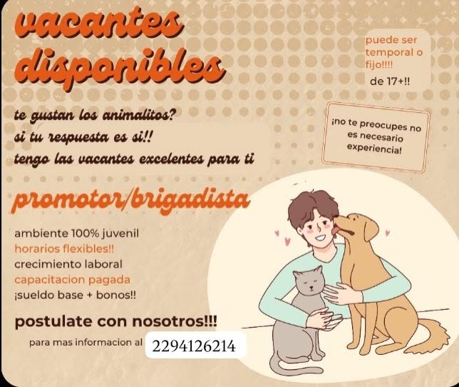 Vacante disponible