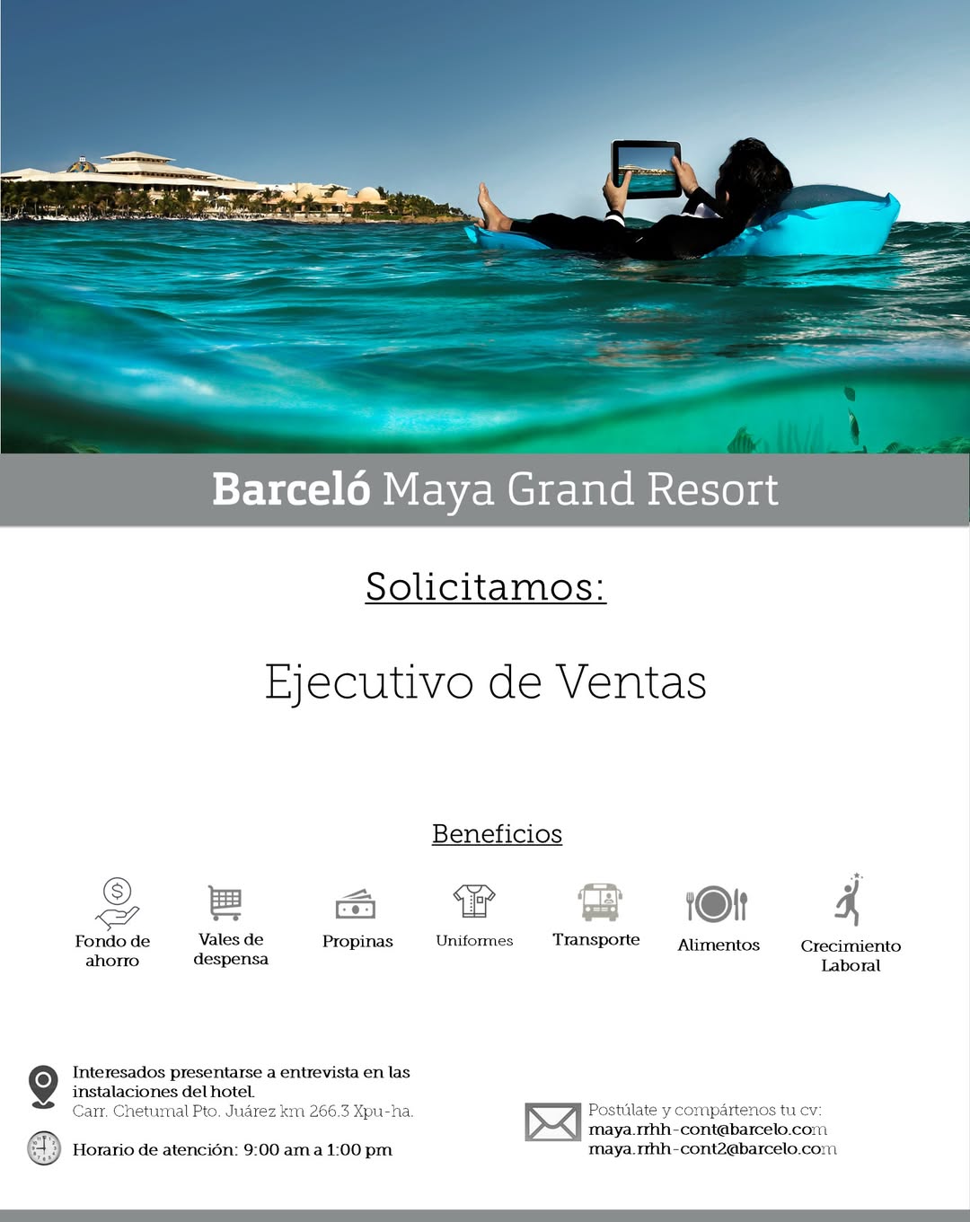Vacante disponible