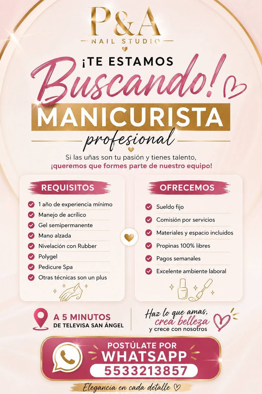 Manicurista Profesional