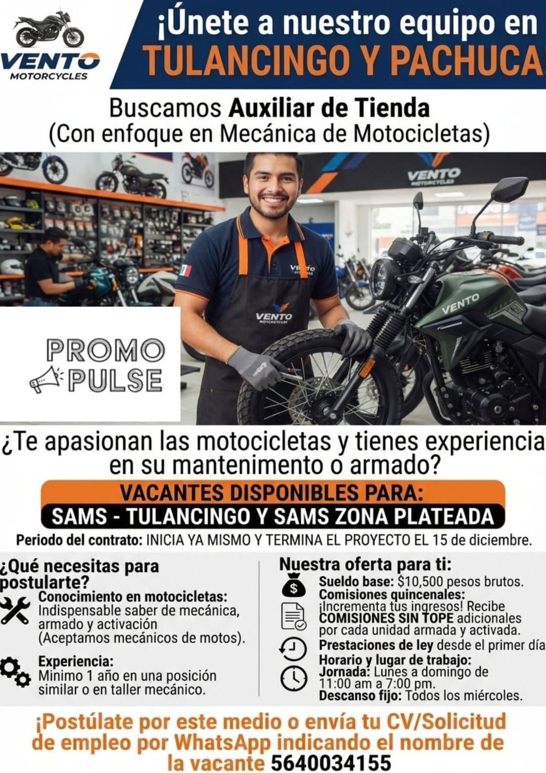 Auxiliar de Tienda