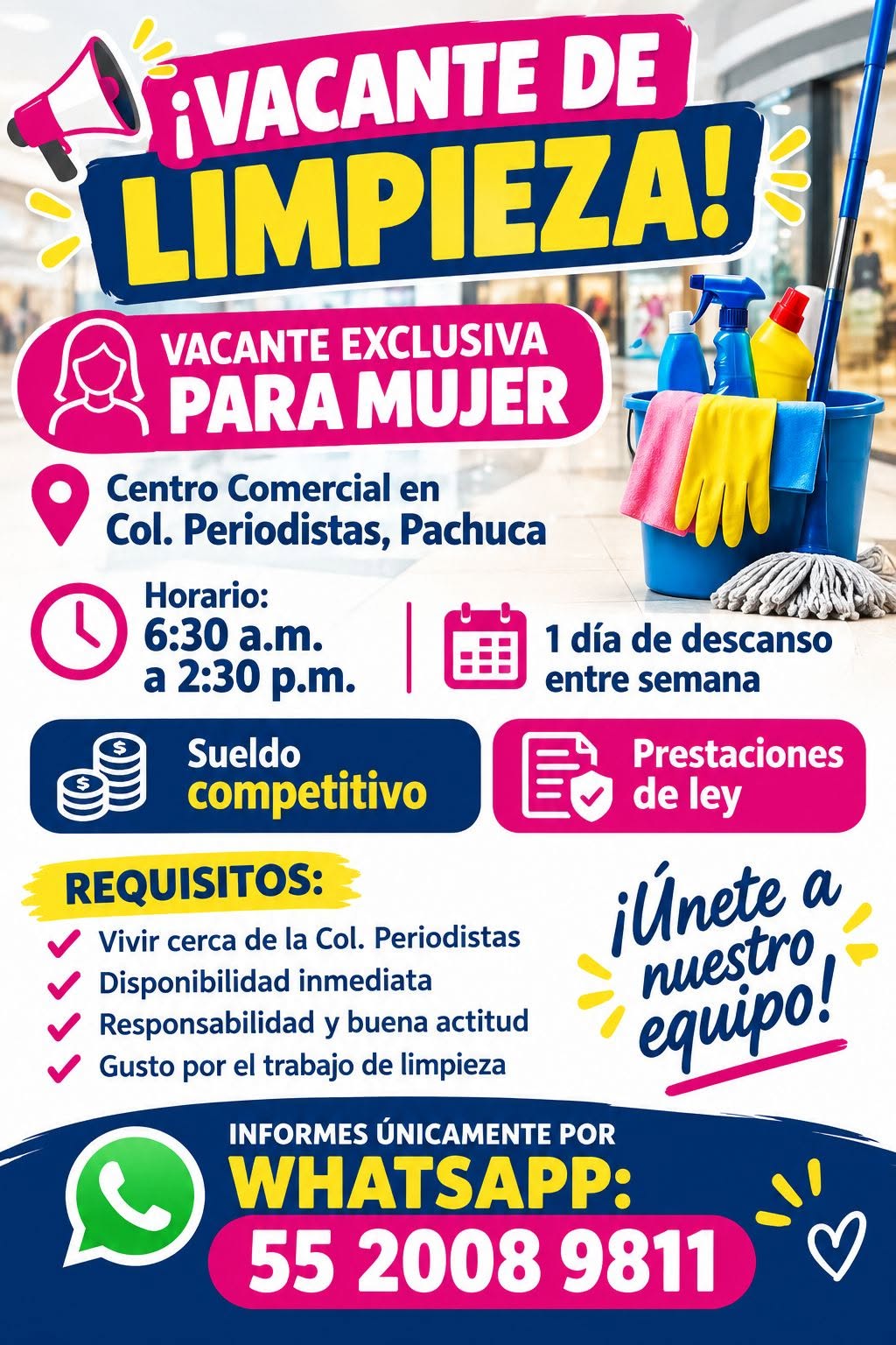 Auxiliar de Limpieza
