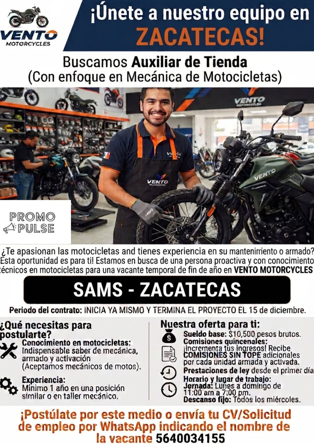 Auxiliar de Tienda