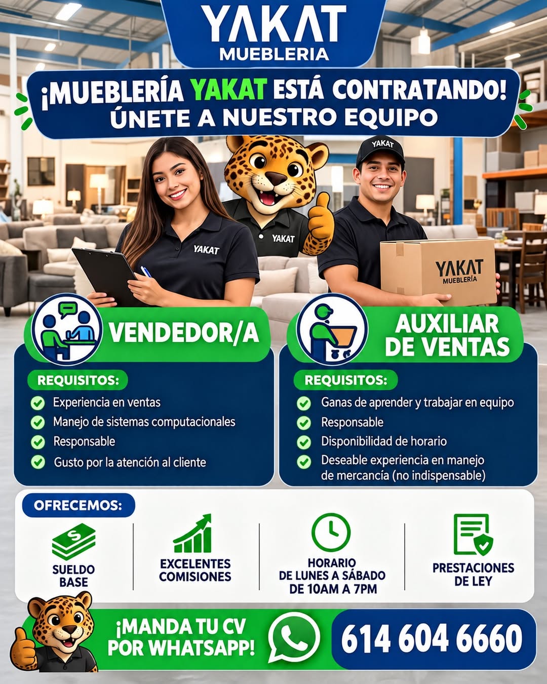 Vendedor