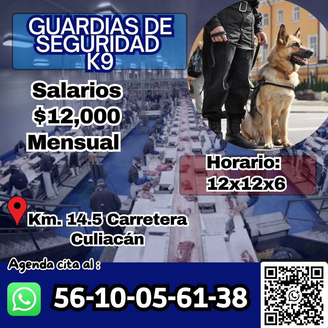 Guardia de Seguridad K9