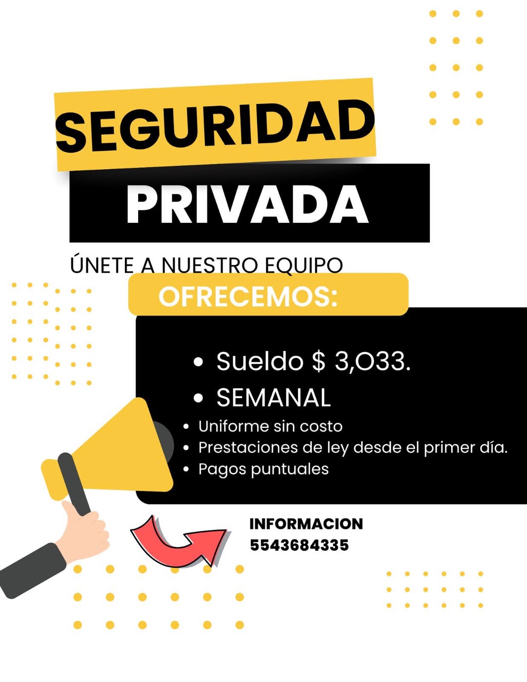 Guardia de Seguridad