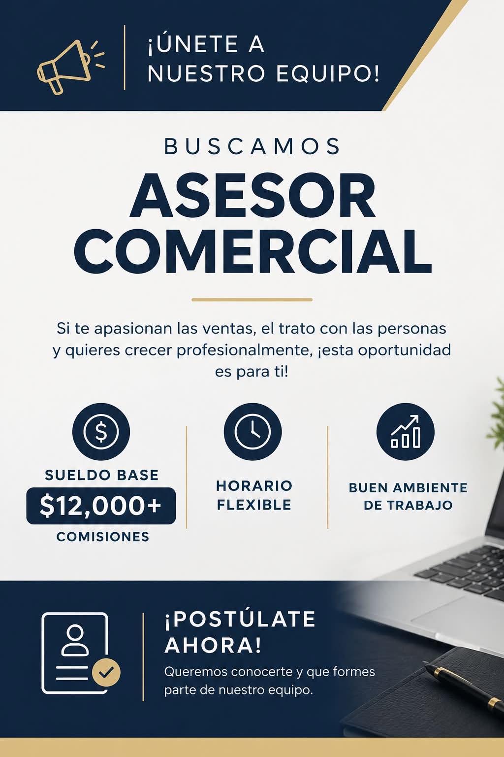 Asesor Comercial