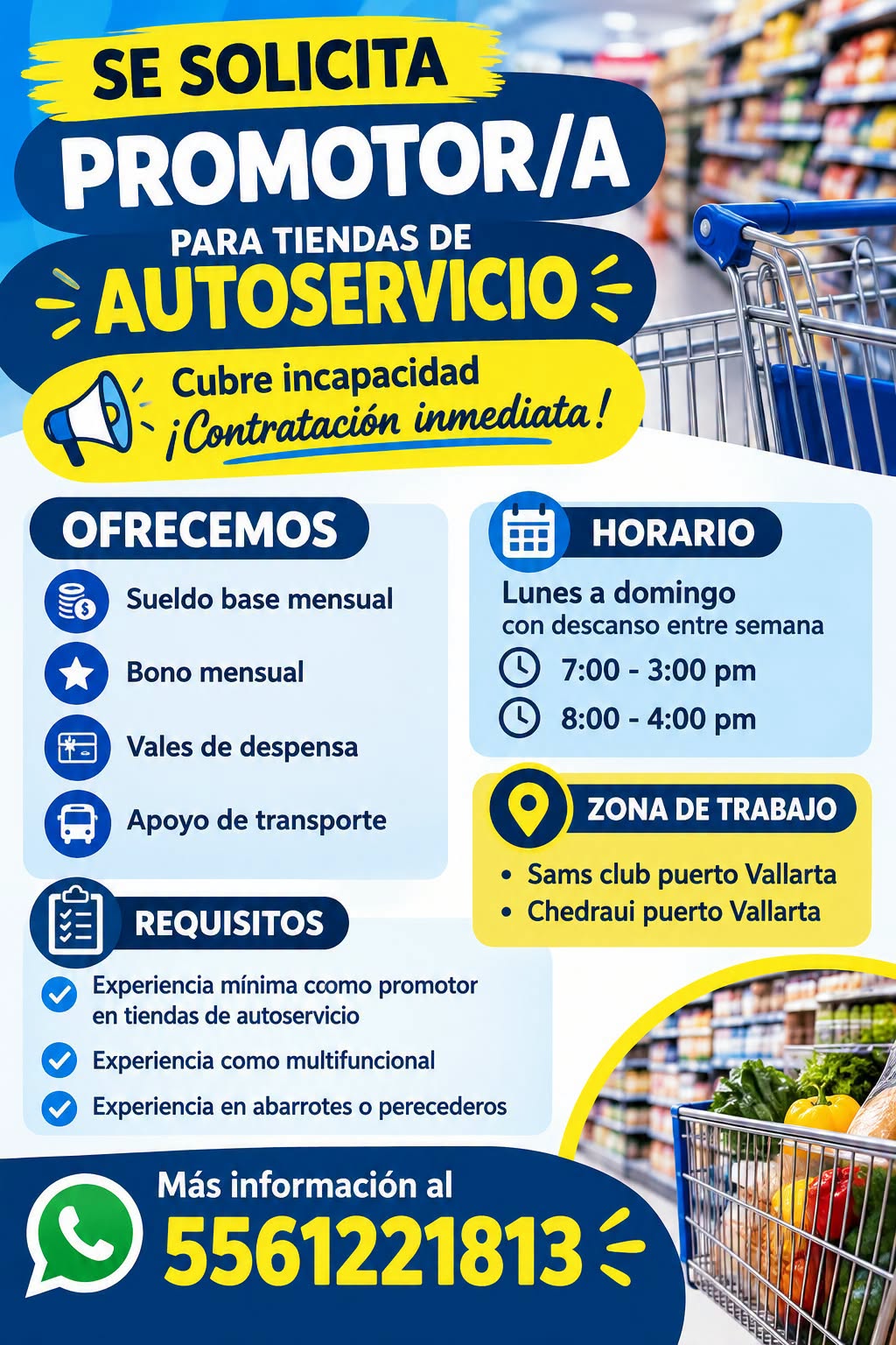 Promotor/a