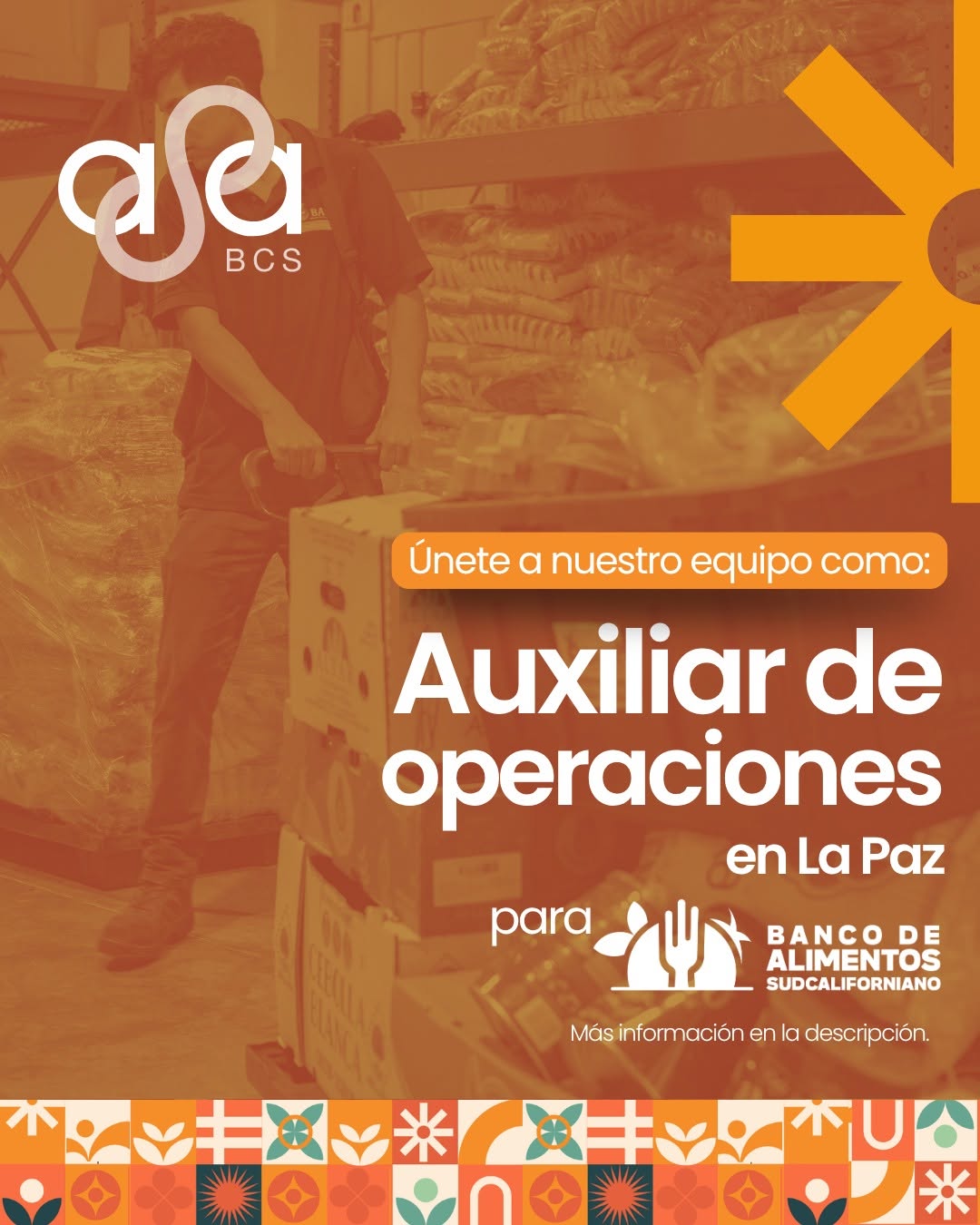 Auxiliar de Operaciones