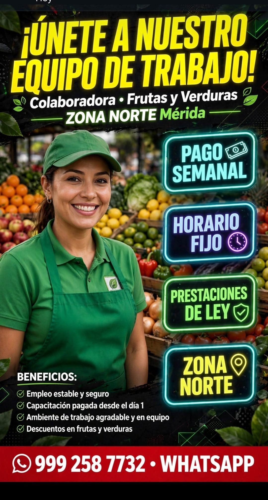 Colaboradora de Área