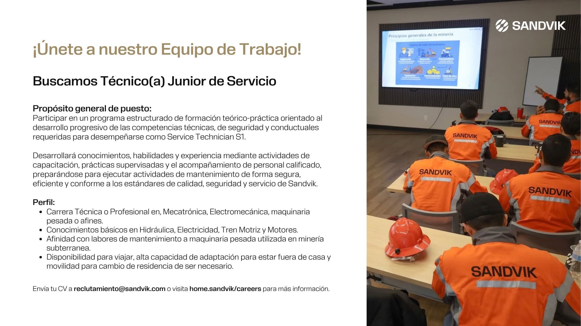 Técnico(a) Junior
