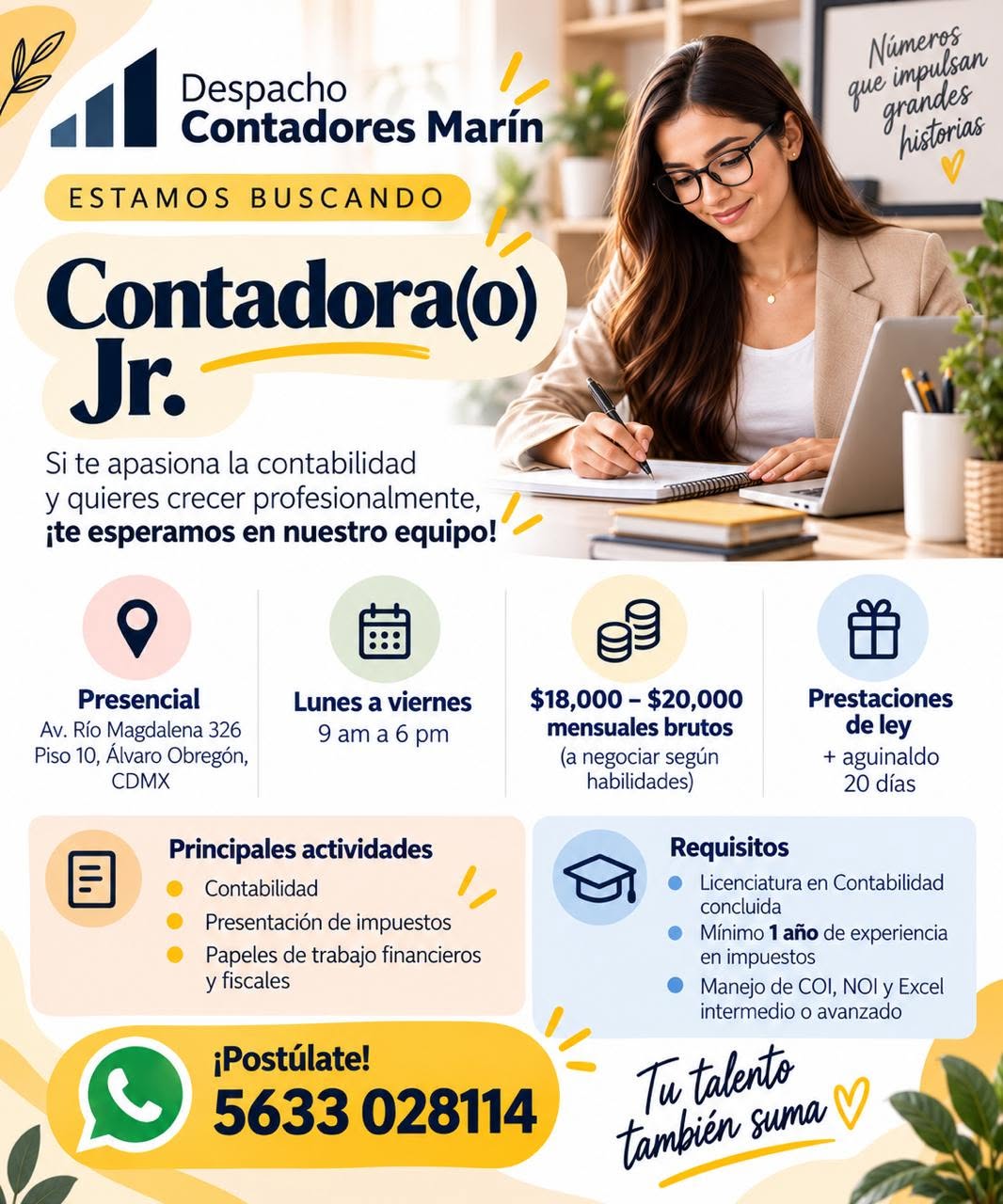 Contadora Jr.